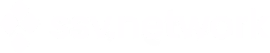 SSV Network